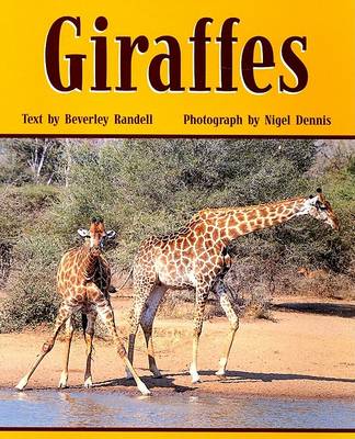 Book cover for Giraffes