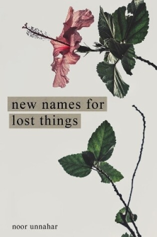 Cover of New Names for Lost Things