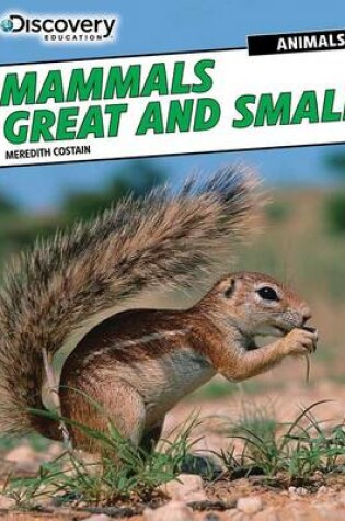 Cover of Mammals Great and Small