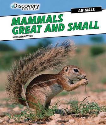 Book cover for Mammals Great and Small
