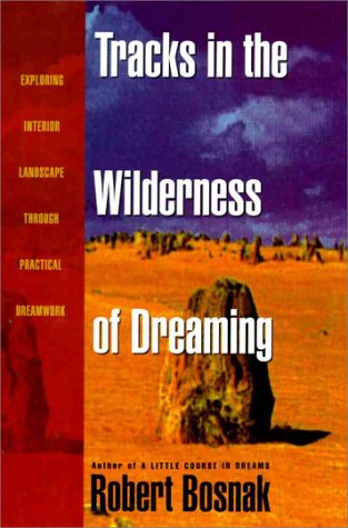 Book cover for Tracks in the Wilderness of Dr