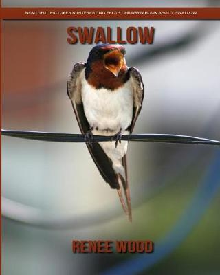 Book cover for Swallow