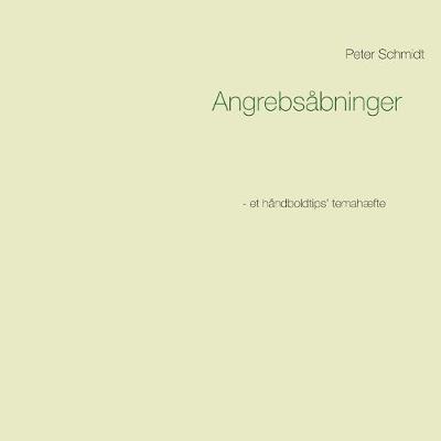 Book cover for Angrebsabninger