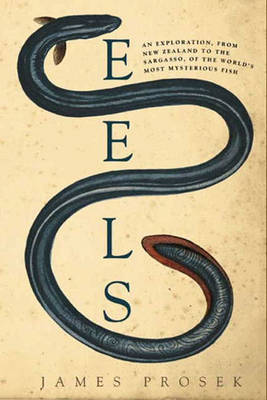 Book cover for Eels