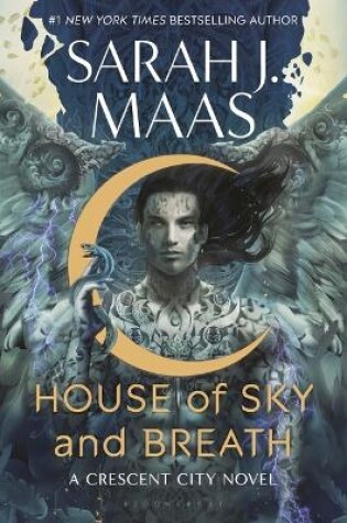 Cover of House of Sky and Breath