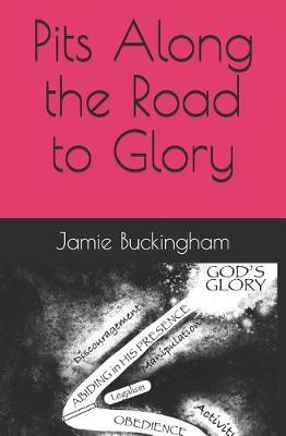 Book cover for Pits Along the Road to Glory