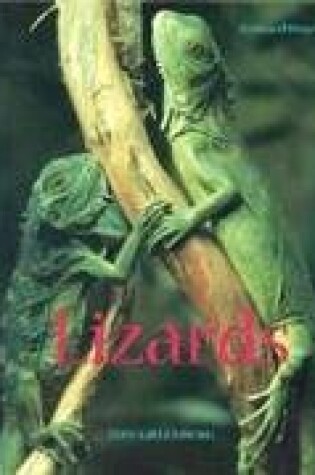 Cover of Lizards