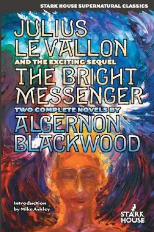 Cover of Julius LeVallon / The Bright Messenger
