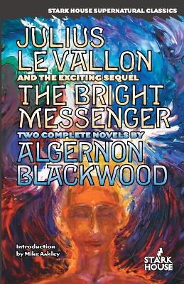 Book cover for Julius LeVallon / The Bright Messenger