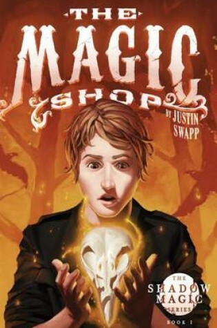 Cover of The Magic Shop