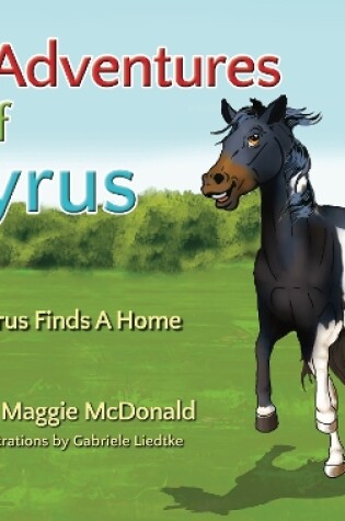 Cover of Syrus Finds A Home