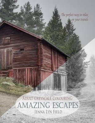 Book cover for Amazing Escapes