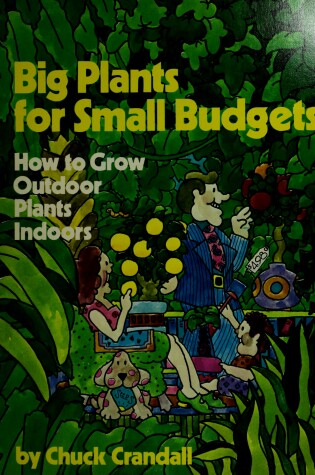 Cover of Big Plants/Small Budgets