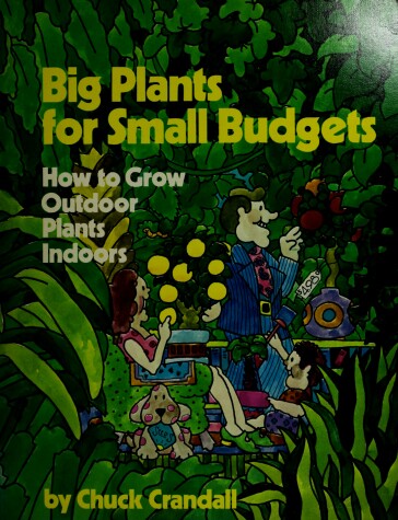 Book cover for Big Plants/Small Budgets