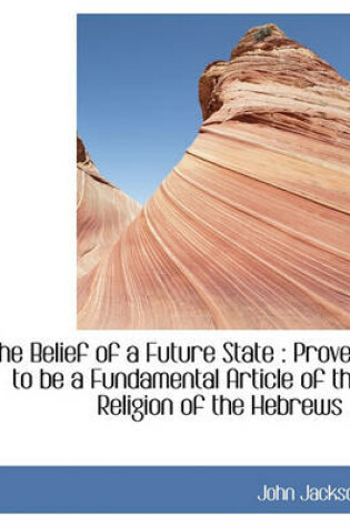 Cover of The Belief of a Future State
