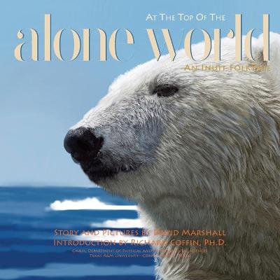 Book cover for Alone at the Top of the World