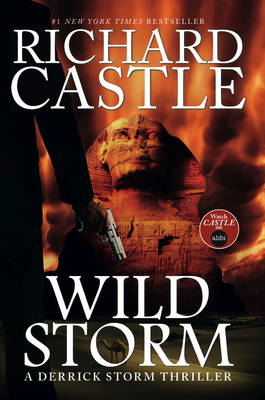 Book cover for Wild Storm (a Derrick Storm Thriller)