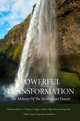 Book cover for Powerful Transformation