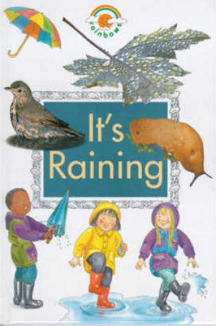 Cover of It's Raining