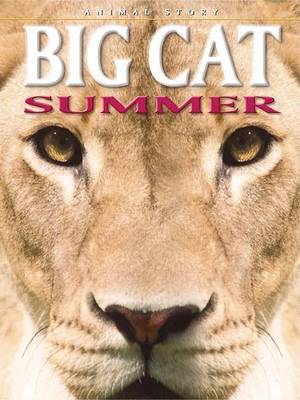 Book cover for Big Cat Summer
