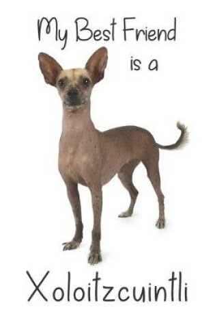 Cover of My best Friend is a Xoloitzcuintli (Squared Paper)