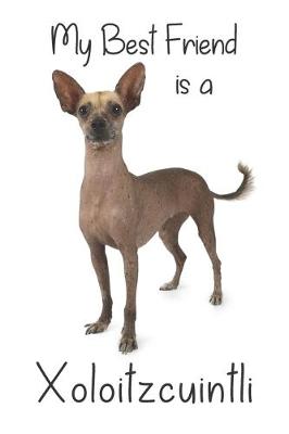 Book cover for My best Friend is a Xoloitzcuintli (Squared Paper)