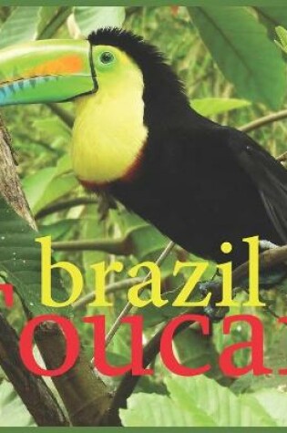 Cover of toucan