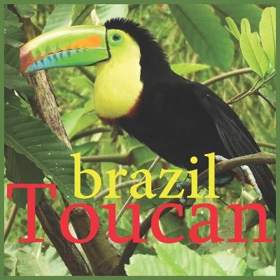 Book cover for toucan