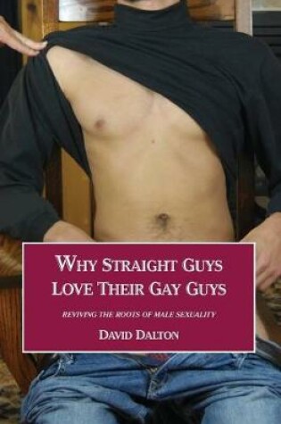 Cover of Why Straight Guys Love Their Gay Guys