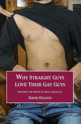 Book cover for Why Straight Guys Love Their Gay Guys