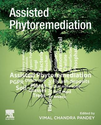 Cover of Assisted Phytoremediation