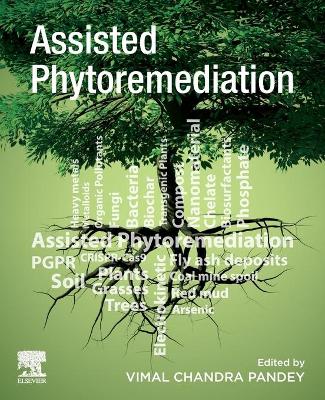 Book cover for Assisted Phytoremediation