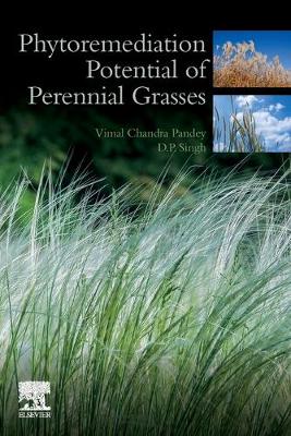 Book cover for Phytoremediation Potential of Perennial Grasses