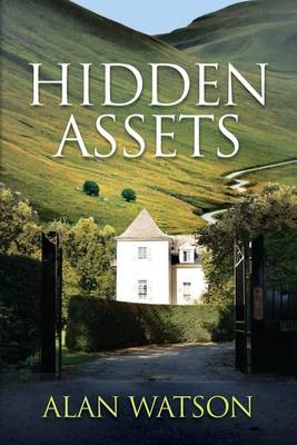 Book cover for Hidden Assets