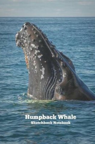 Cover of Humpback Whale Sketchbook Notebook