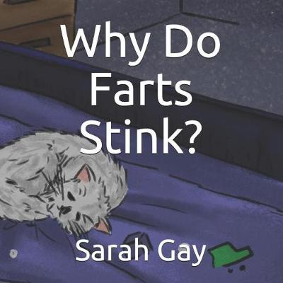 Book cover for Why Do Farts Stink?