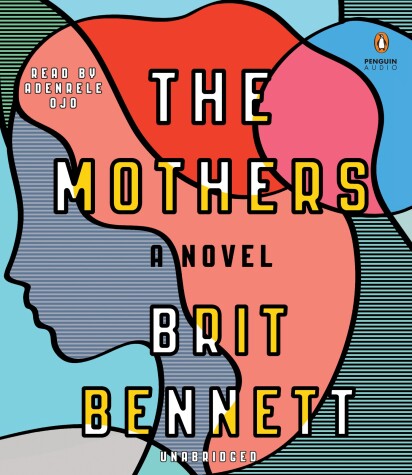 Book cover for The Mothers