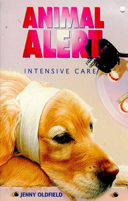 Book cover for Intensive Care