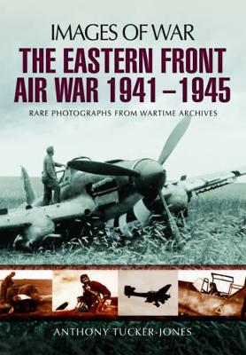 Book cover for Eastern Front Air War 1941 - 1945