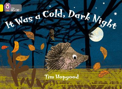 Cover of It Was a Cold Dark Night