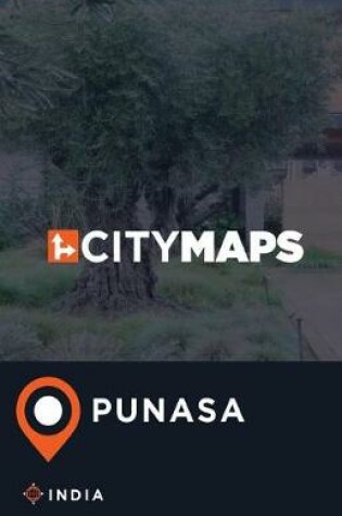 Cover of City Maps Punasa India