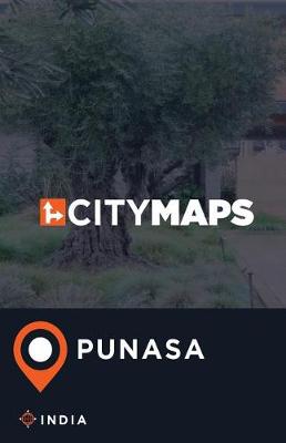 Book cover for City Maps Punasa India