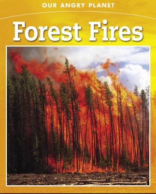 Book cover for Forest Fires