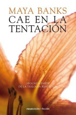 Cover of Cae En La Tentacion