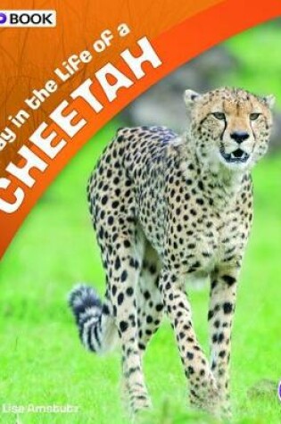 Cover of A Day in the Life of a Cheetah: a 4D Book (A Day in the Life)