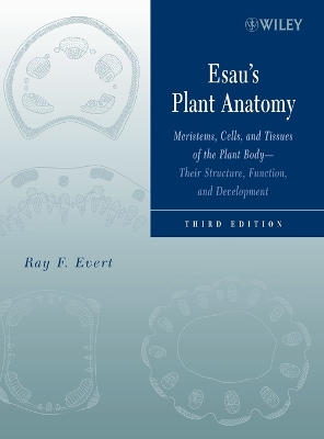 Book cover for Esau's Plant Anatomy