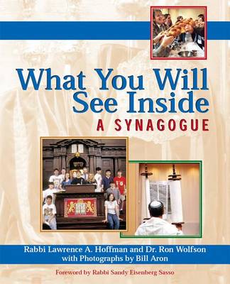 Book cover for What You Will See Inside a Synagogue