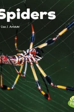 Cover of Spiders Little Critters