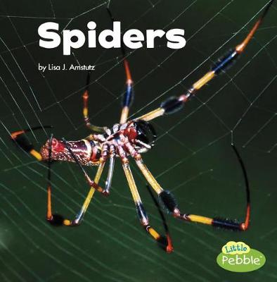 Book cover for Spiders Little Critters