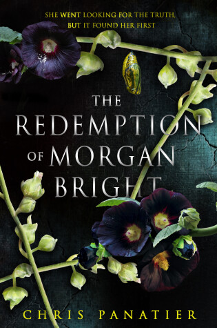 Cover of The Redemption of Morgan Bright